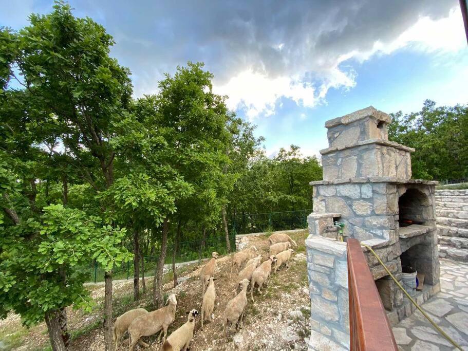 Mountain Village House Cetinje Exterior photo