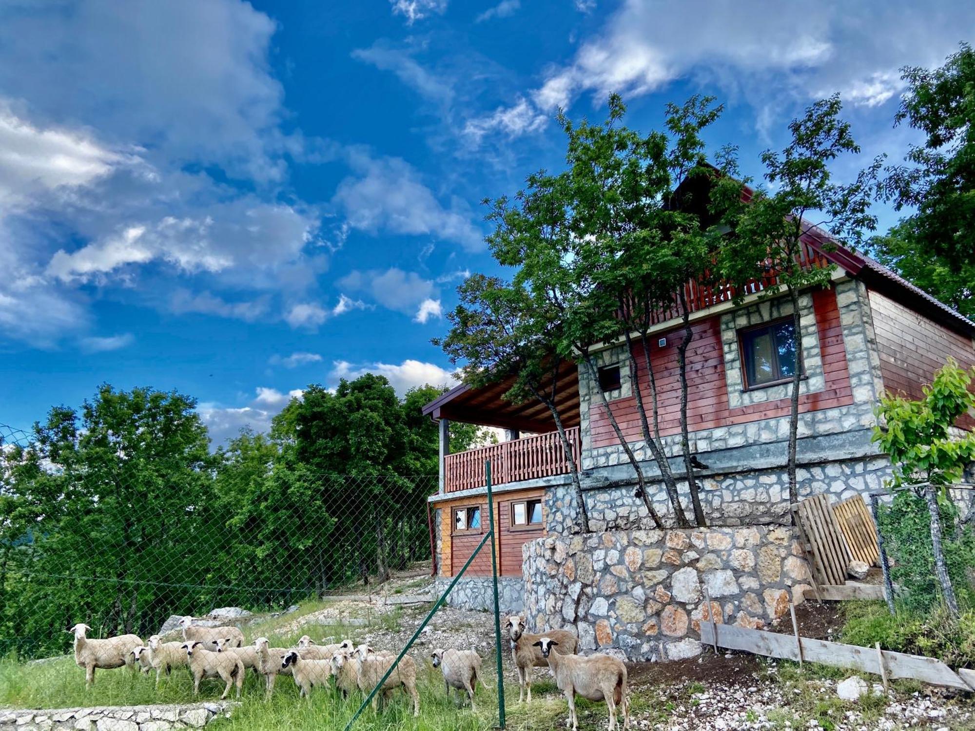 Mountain Village House Cetinje Exterior photo