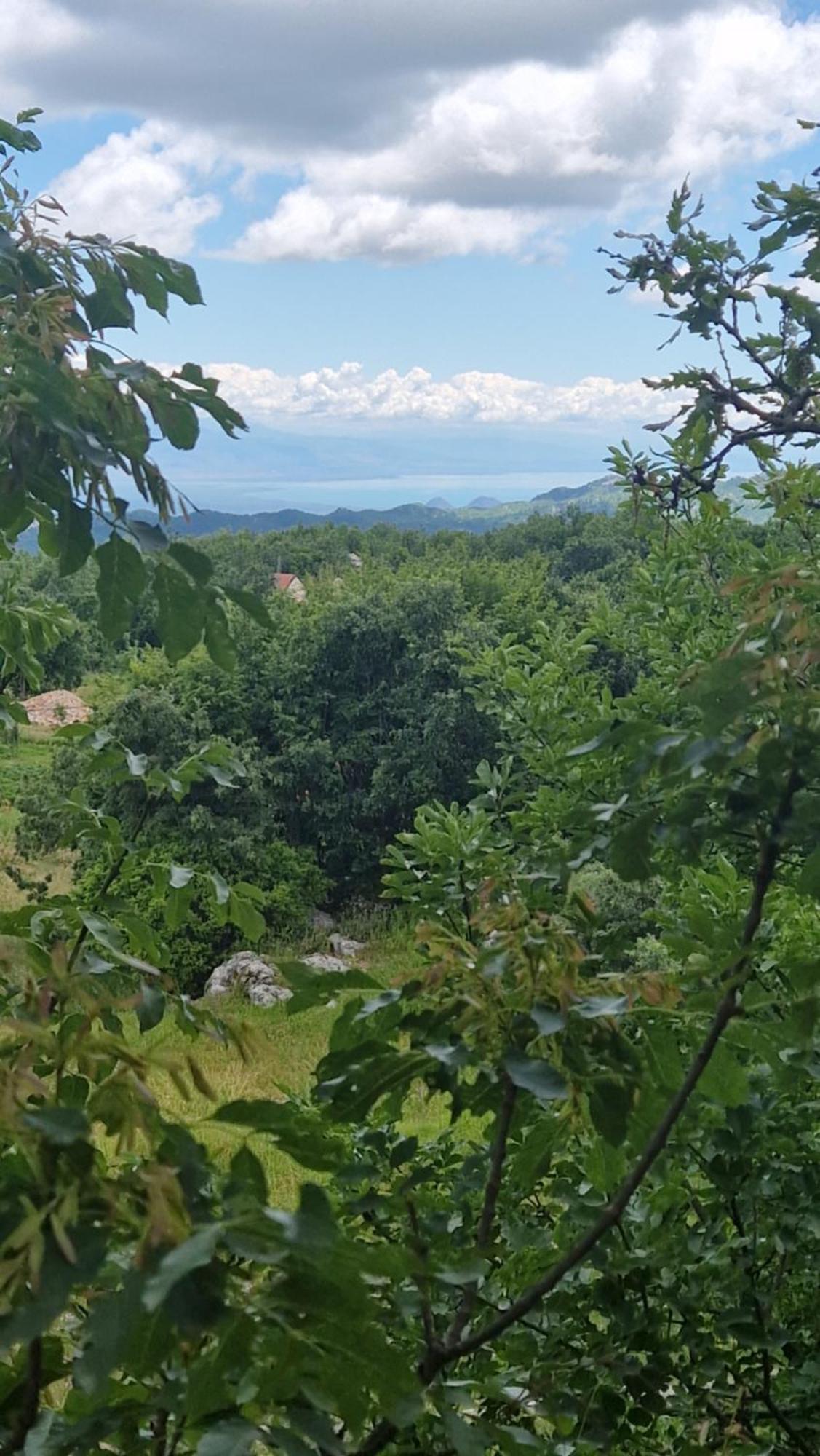 Mountain Village House Cetinje Exterior photo