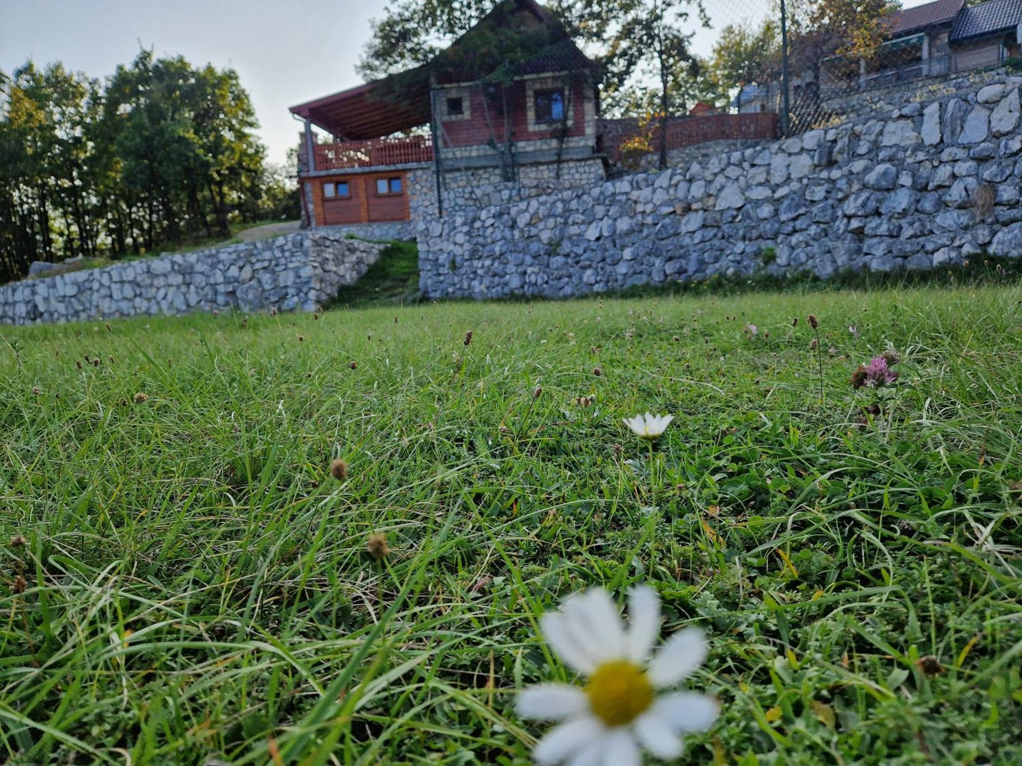 Mountain Village House Cetinje Exterior photo